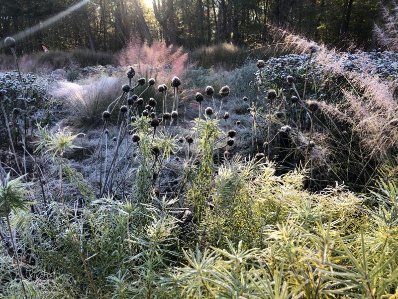 Delaware Botanic Gardens will open at 7:30 a.m., Oct. 23, so photographers and birders can experience the early-morning sights and sounds. SUBMITTED PHOTO